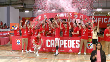 Imagem de Voleibol: Fonte do Bastardo falha o título de campeão nacional