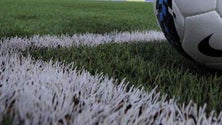 Imagem de Covid-19: Governo equipara desportistas federados a profissionais