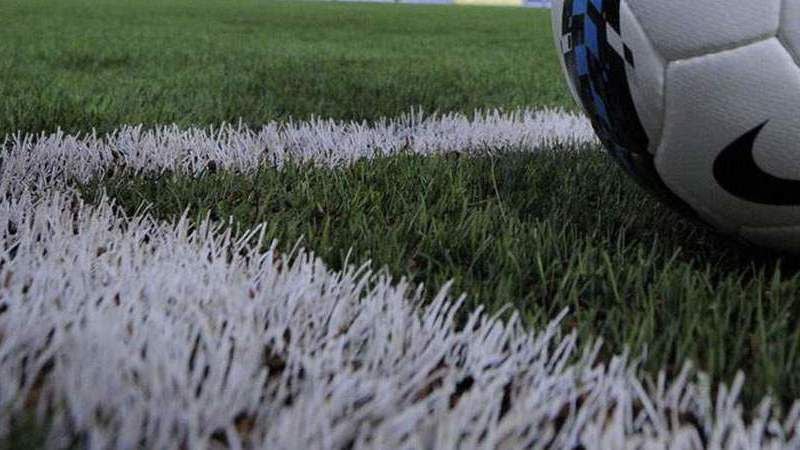 Imagem de Covid-19: Governo equipara desportistas federados a profissionais
