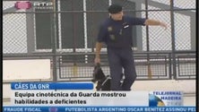Imagem de Demonstração da equipa cinotécnica da GNR (Vídeo)