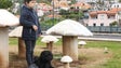 Menino portador de autismo recebeu primeiro cão de assistência entregue na Madeira