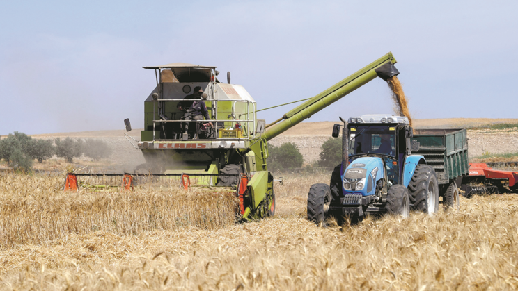 Ucrânia e a Rússia têm acordo para a exportação de cereais