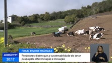 II Fórum de Bovinos do Triângulo em São Jorge [Vídeo]