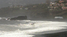 Imagem de Nível do mar vai subir 80 centímetros nos próximos 77 anos (vídeo)