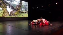 Imagem de Dançando com a Diferença estreia `Happy Island` em Viseu