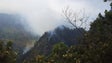 Incêndio na zona do Vasco Gil mobiliza bombeiros (Áudio)