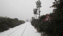 Imagem de Neve, queda de árvores e instabilidade de escarpas obrigam ao encerramento de estradas