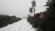 Imagem de Neve, queda de árvores e instabilidade de escarpas obrigam ao encerramento de estradas
