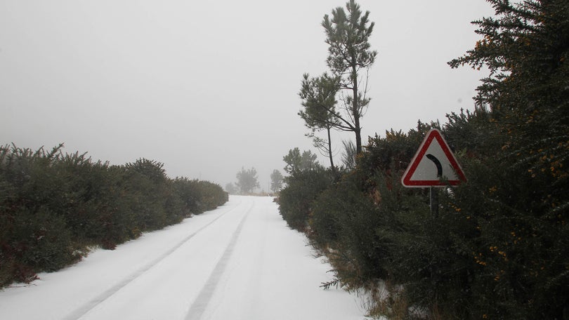 Imagem de Neve, queda de árvores e instabilidade de escarpas obrigam ao encerramento de estradas