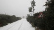 Neve, queda de árvores e instabilidade de escarpas obrigam ao encerramento de estradas