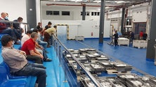 Imagem de Venda em lota de pescado na Madeira ascende o milhão e meio de euros