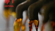 Imagem de Fábrica do Ribeiro Seco estima produzir este ano mais de 100 mil litros de mel de cana-de-açúcar