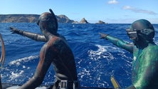 Imagem de Investigadores em trabalho nas Selvagens (Fotos)