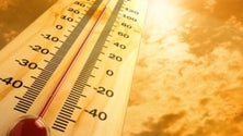 Imagem de Verão de 2020 é o 13.º mais quente em 90 anos – IPMA