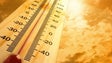 Imagem de Verão de 2020 é o 13.º mais quente em 90 anos – IPMA