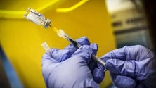 Imagem de EMA diz ser prematuro prever adaptações das vacinas à nova variante