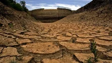 Imagem de Rios secos e culturas mortas por seca que pode tornar-se a pior em 500 anos na Europa