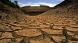 Imagem de Rios secos e culturas mortas por seca que pode tornar-se a pior em 500 anos na Europa