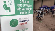 Imagem de Vacinação das crianças regressa este fim de semana (áudio)