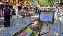 Placa central já cheira a flores (áudio)