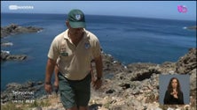 Imagem de Vigilantes da Natureza e Polícia Marítima vão voltar a ficar apenas 15 dias nas Selvagens (vídeo)