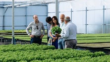 Imagem de PS critica falta de plano para a agricultura familiar