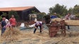 Imagem de Debulha do trigo recriada em Gaula (vídeo)