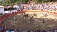 Primeira corrida de touros das festas da Graciosa (Vídeo)