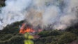 Machico e Santa Cruz com risco muito elevado de incêndio