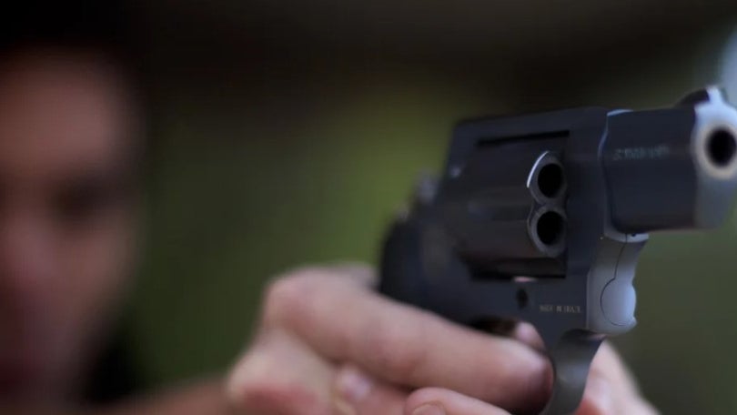 Imagem de PSP estima que existam menos armas de fogo em casa