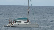 Imagem de Polícia Marítima fiscaliza catamarã dinamarquês nas ilhas Selvagens
