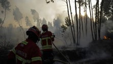 Imagem de 7.253 incêndios nos primeiros nove meses do ano