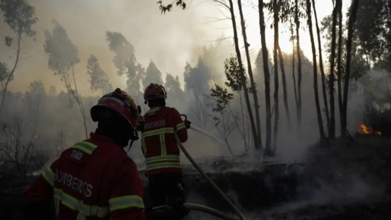 Imagem de 7.253 incêndios nos primeiros nove meses do ano