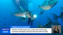 Ministro do Mar espera que a Rede Nacional de Áreas Marinhas Protegidas seja aprovada até junho [Vídeo]