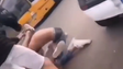 Imagem de Violência na escola circula pelas redes sociais (vídeo)