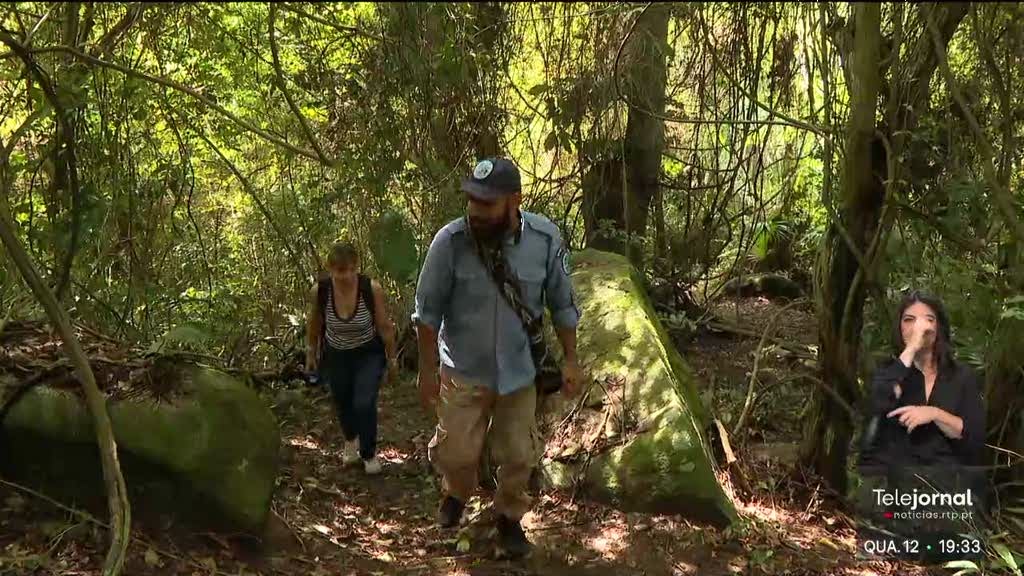 RTP na Colômbia. Temperatura continua a aumentar na costa do Caribe