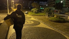 Imagem de Voluntários ajudam a salvar aves marinhas (áudio)