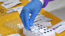 Imagem de Investigadores usam 35 mil amostras para avaliar infecciosidade de variantes