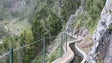 Imagem de Turista alemão caiu de uma altura aproximada de 10 metros na Levada Nova da Calheta