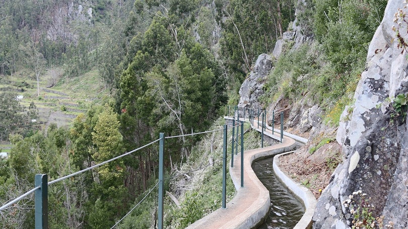 Turista alemão caiu de uma altura aproximada de 10 metros na Levada Nova da Calheta