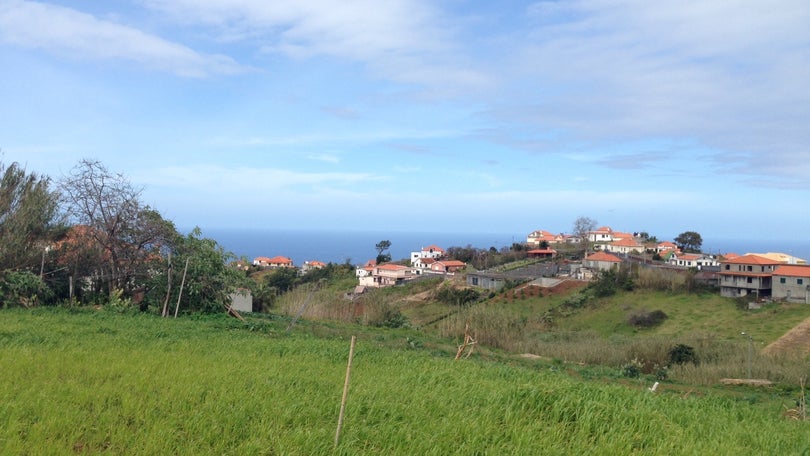 Imagem de Madeira com 82% de ocupação hoteleira