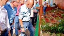 Imagem de Paulo Cafôfo defende estatuto para a agricultura familiar