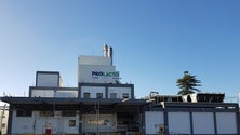Imagem de Federação Agrícola dos Açores teme descida do preço do leite ao produtor (Som)