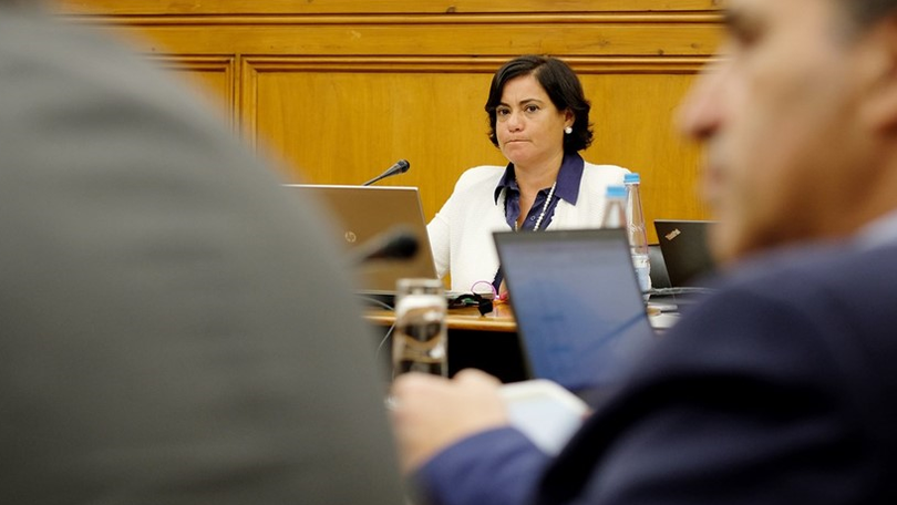 Imagem de Presidente da CMVM diz que não foi encontrada evidência de práticas fraudulentas no Banif