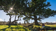 Imagem de Destino Madeira promovido no Brasil