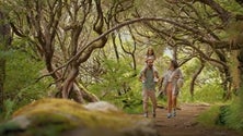 Imagem de Madeira lança segunda fase da Campanha «Eu sei onde» (vídeo)