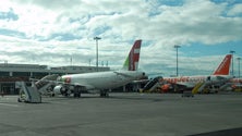 Imagem de Covid-19: easyJet diz que novas regras sanitárias na Madeira não prejudicam a operação (Áudio)