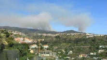 Imagem de Continua o combate ao incêndio na Calheta, na zona do Paul da Serra (vídeo)