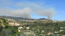 Continua o combate ao incêndio na Calheta, na zona do Paul da Serra (vídeo)