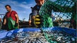 Imagem de Pesca e aquicultura com apoios 63,7 milhões